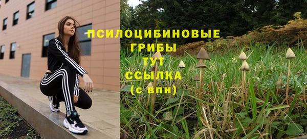 ешки Алзамай