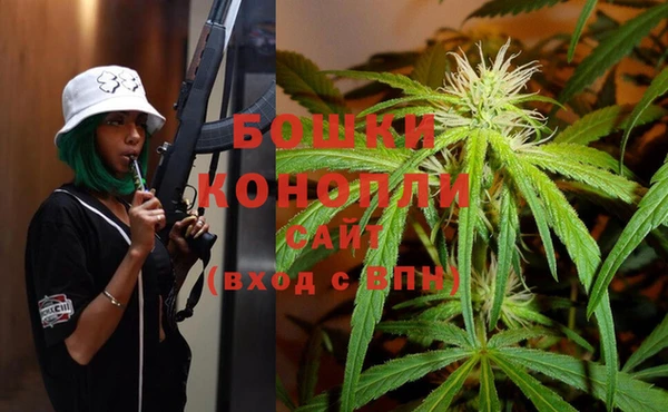 ешки Алзамай