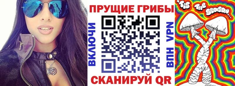 Псилоцибиновые грибы Cubensis  сколько стоит  Лермонтов 